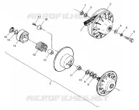 DRIVEN CLUTCH