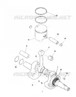 CRANKSHAFT AND PISTON ASSEMBLY (4913491349032A)