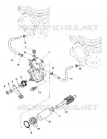 OIL PUMP TRAIL (4916831683030A)