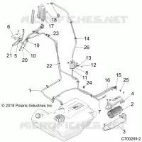 BODY, FUEL LINES, EVAP