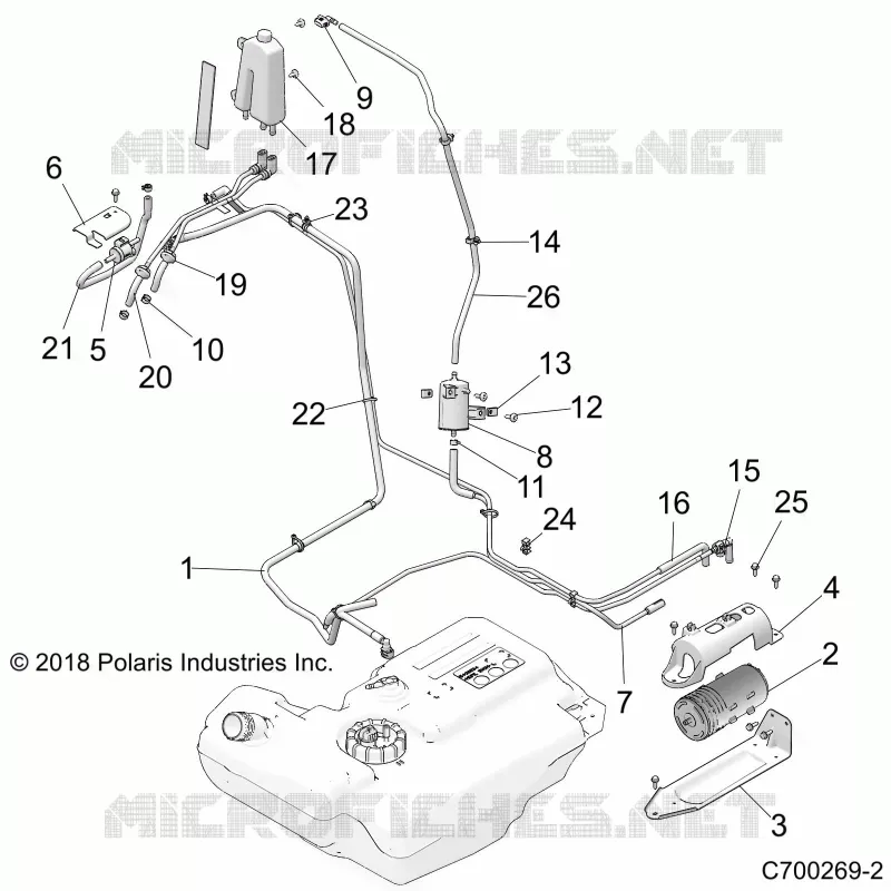 BODY, FUEL LINES, EVAP