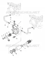 OIL PUMP TRAIL (4916831683030A)