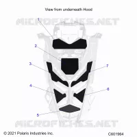 HOOD FOAM/SEAL