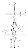CARBURETOR TRAIL AND 400 (4912701270057A)