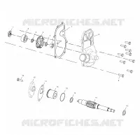 WATER PUMP/OIL PUMP
