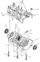 CRANKCASE WIDETRAK (4919301930025A)