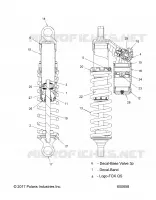 SUSPENSION, FRONT SHOCK (LE)