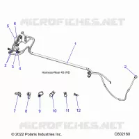 ELECTRICAL, WIRE HARNESS, REAR