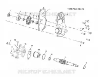 WATER PUMP/OIL PUMP