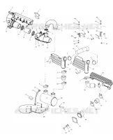 EXHAUST SYSTEM