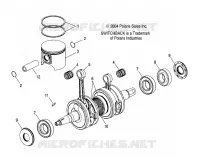 PISTON   CRANKSHAFT (600)