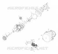 WATER PUMP / OIL PUMP