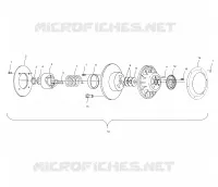 DRIVEN CLUTCH