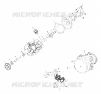 WATER PUMP / OIL PUMP