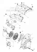 RECOIL STARTER AND BLOWER HOUSING (4909550955019A)