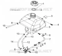 FUEL TANK AND HOSES
