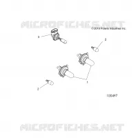ELECTRICAL, BULBS