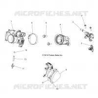 ENGINE, THROTTLE BODY AND FUEL RAIL