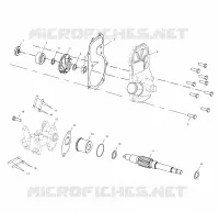 WATER PUMP/OIL PUMP