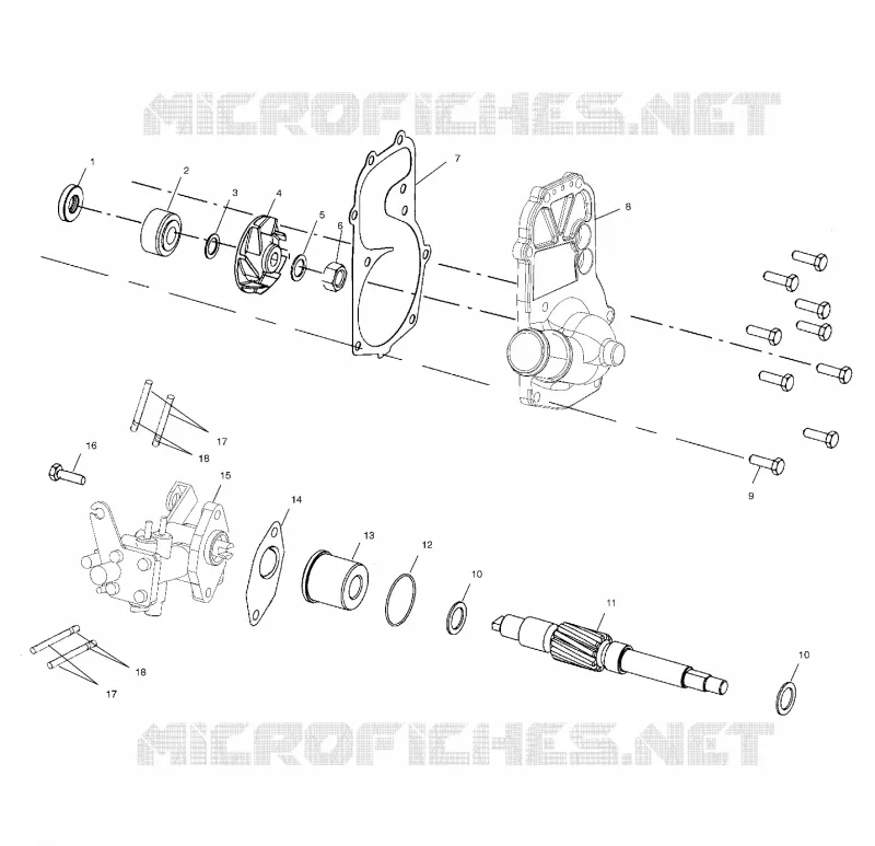 WATER PUMP/OIL PUMP