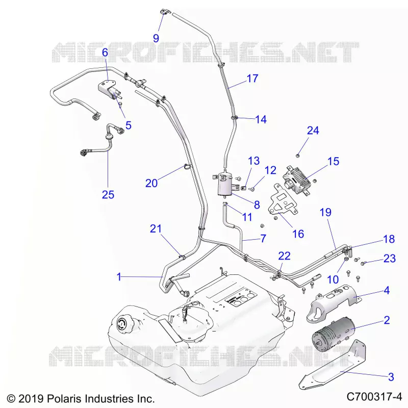 BODY, FUEL LINES, EVAP