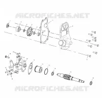 WATER PUMP/OIL PUMP