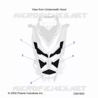 HOOD FOAM/SEAL