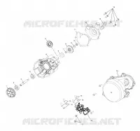 WATER PUMP / OIL PUMP