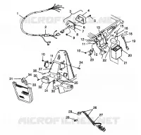 ELECTRICAL/TAILLIGHT