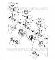 CRANKSHAFT AND PISTON   500 XLT (4921662166035A)