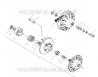 DRIVEN CLUTCH