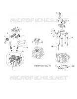 CYLINDER HEAD, CAMS AND VALVES