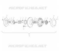 DRIVEN CLUTCH