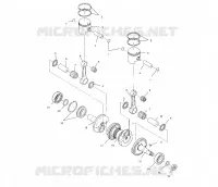 PISTON   CRANKSHAFT