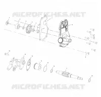 WATER PUMP/OIL PUMP