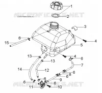 FUEL TANK AND HOSES