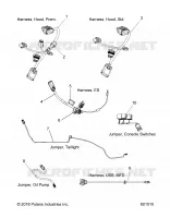 ELECTRICAL, JUMPERS/WIRE HARNESS