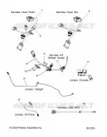 ELECTRICAL, JUMPERS/WIRE HARNESS