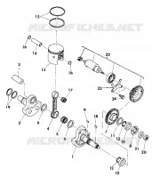 CRANKSHAFT AND PISTON ASSEMBLY (4918541854042A)