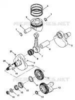 CRANKSHAFT AND PISTON