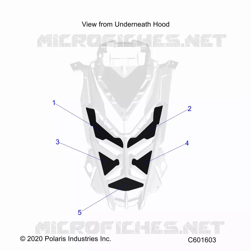 HOOD FOAM/SEAL