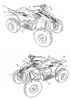 DECALS SCRAMBLER W967840 (4935823582A008)