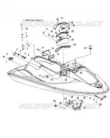 HULL   BODY
