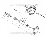 DRIVEN CLUTCH