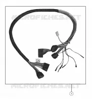 WIRE HARNESS, STEERING COLUMN