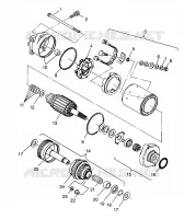 STARTING MOTOR