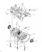 CRANKCASE 500 AND 500 CLASSIC (4921252125043A)