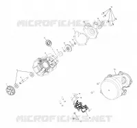 WATER PUMP/OIL PUMP