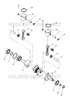 PISTON AND CRANKSHAFT (4910961096017A)