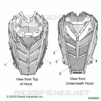 HOOD FOAM/SEAL